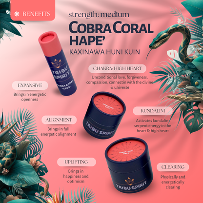 Wholesale Hape'